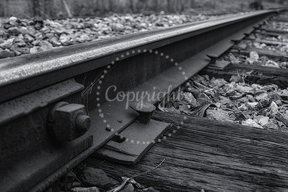 Douglas Harrington photography