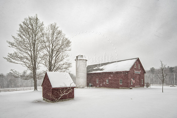 "Little Red Shed"