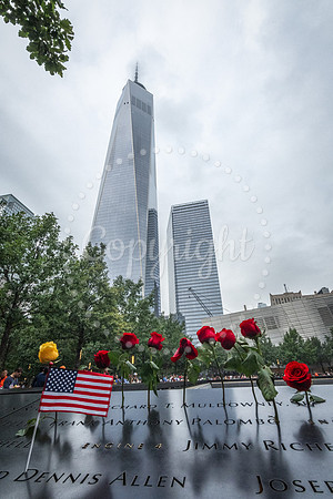 Freedom Tower